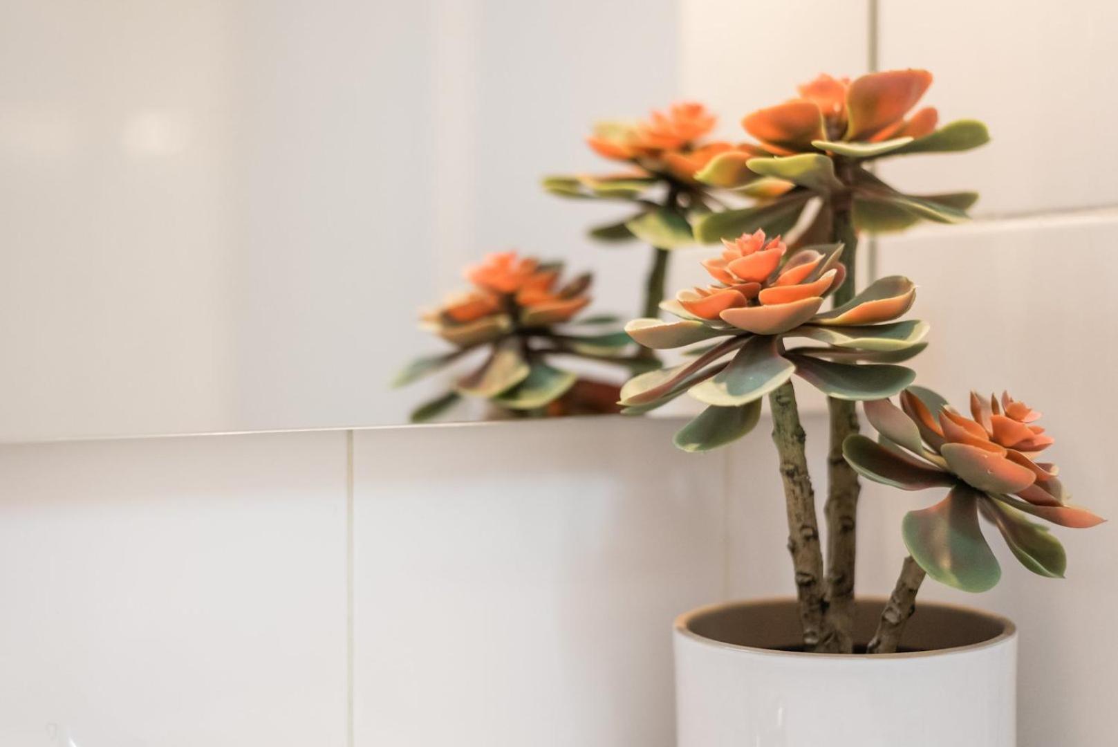 Guestready - Miragaia Green Porto Buitenkant foto